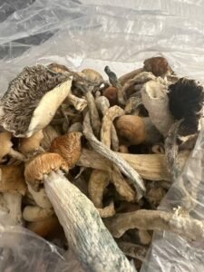kjøp psilocybin sopp For angst og depresjon i Norge 