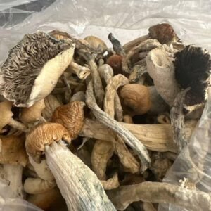 kjøp psilocybin sopp For angst og depresjon i Norge